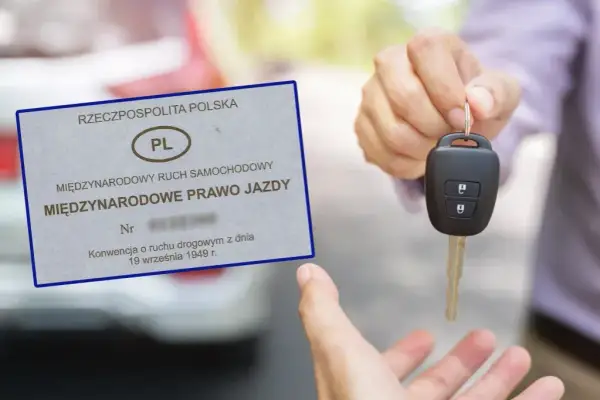 Kto wydaje międzynarodowe prawo jazdy? Sprawdź, gdzie uzyskać dokument