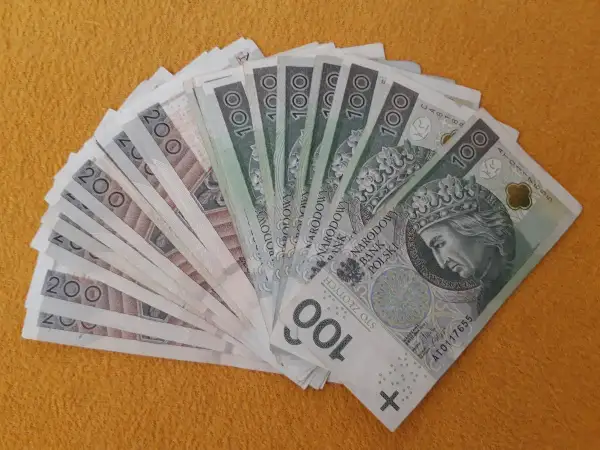 Stos banknotów 100 i 200 zł ułożony wachlarzowo. Taka darowizna może pomóc potrzebującym.