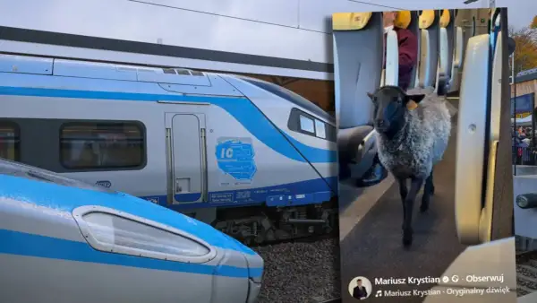 Tczew Pendolino: Wagon 4? Znajdź go bez stresu i biegania po peronie!