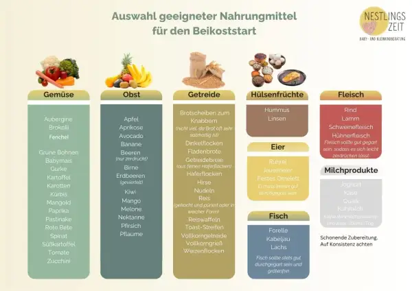 Infografik zur Beikost im Urlaub: Geeignete Lebensmittel wie Gemüse, Obst, Getreide, Hülsenfrüchte, Eier, Fisch, Fleisch und Milchprodukte.