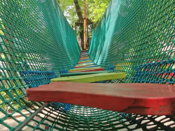 Park Linowy Jankowice: Rodzinna zabawa za 0 zł pod Poznaniem