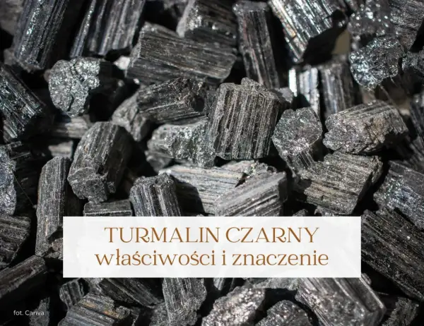 Grupka surowych, czarnych turmalinów. Poznaj czarny turmalin właściwości i jego ochronne działanie.
