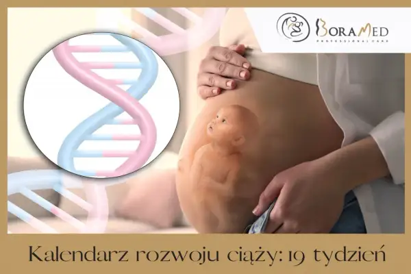 19 tydzień ciąży to już prawie półmetek! Obrazek pokazuje rozwijające się życie i DNA, symbolizujące początek.