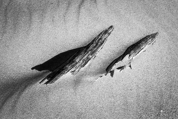 Two pieces of weathered driftwood lie on a sandy surface, casting long shadows. The texture of the wood and sand is emphasized in this pan f shot.