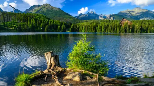 Jezioro otoczone lasem i górami, przypomina o tym, ile jest parków narodowych.