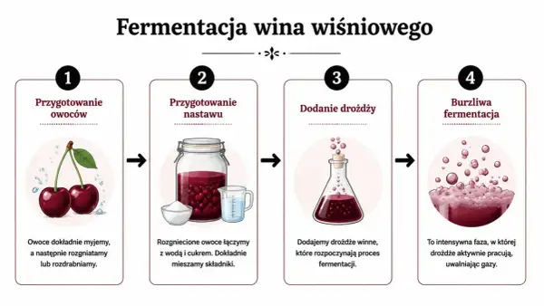 Proces tworzenia duńskiego wina z wiśni: mycie i rozgniatanie owoców, dodanie wody i cukru, drożdży, a następnie burzliwa fermentacja.