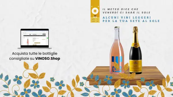 Vino rosa frizzante e spumante giallo, perfetti per la sete al sole. Scopri se il tuo pinot grigio è fermo o frizzante su VINOSO.Shop.