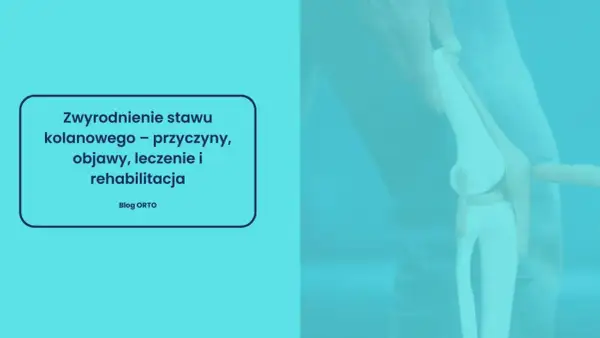 Model stawu kolanowego z tekstem o zwyrodnieniu.