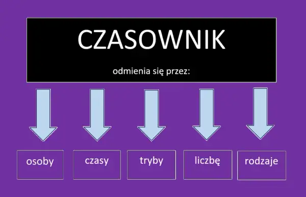 Diagram wyjaśnia, jak odmienia się czasownik: przez osoby, czasy, tryby, liczbę i rodzaje.