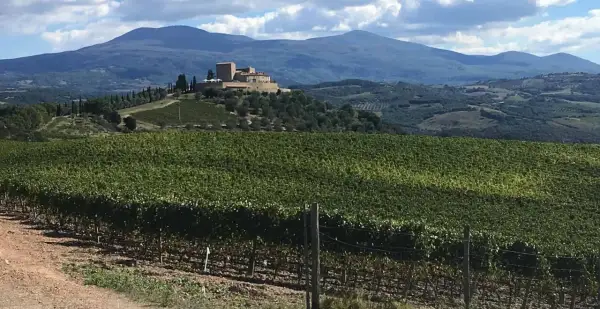 Un borgo fortificato domina le dolci colline toscane, circondato da vigneti rigogliosi. Le vie del Chianti offrono panorami mozzafiato.