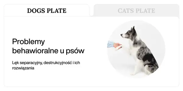 Problemy behawioralne u psów, takie jak lęk separacyjny i destrukcyjność, wymagają zrozumienia i rozwiązań.
