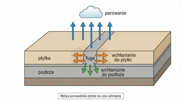 Ilustracja pokazuje, czy fuga ceramiczna przepuszcza wodę. Strzałki wskazują wchłanianie wody przez płytki i podłoże.