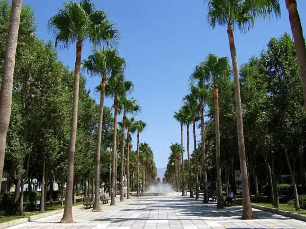 Paseo arbolado con palmeras a ambos lados, bancos y una fuente al fondo. La rambla de Almería invita a un paseo tranquilo bajo el sol.