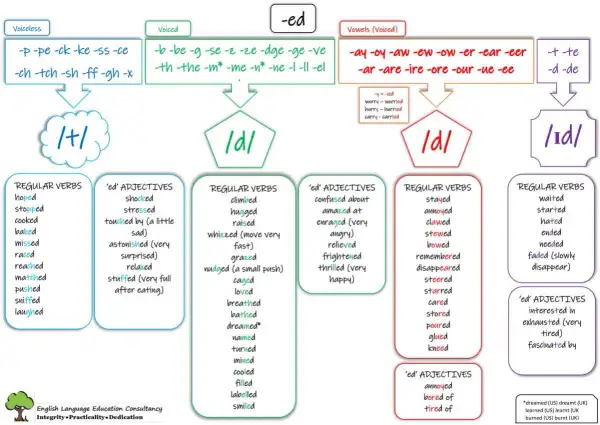 La pronunciación de -ed en inglés: /t/, /d/, /ɪd/. Aprende con ejemplos de verbos y adjetivos.