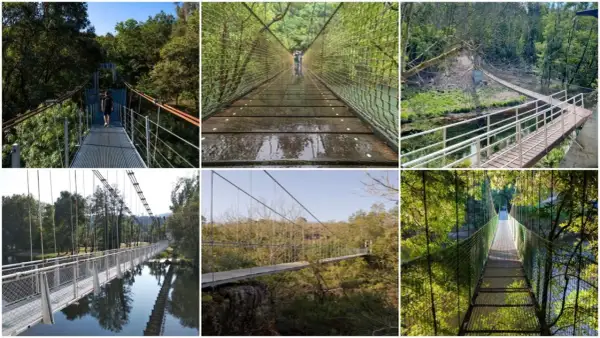 Collage de varios puentes colgantes en Galicia, algunos con personas cruzándolos, rodeados de exuberante vegetación y agua.
