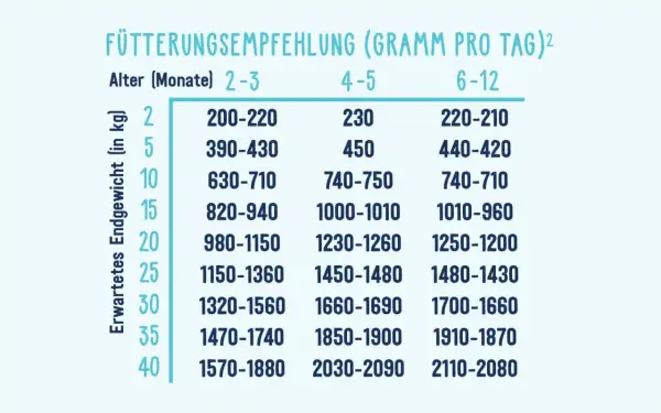 Futterempfehlung für Welpen: Tabelle zeigt die tägliche Futtermenge in Gramm basierend auf Alter und erwartetem Endgewicht.