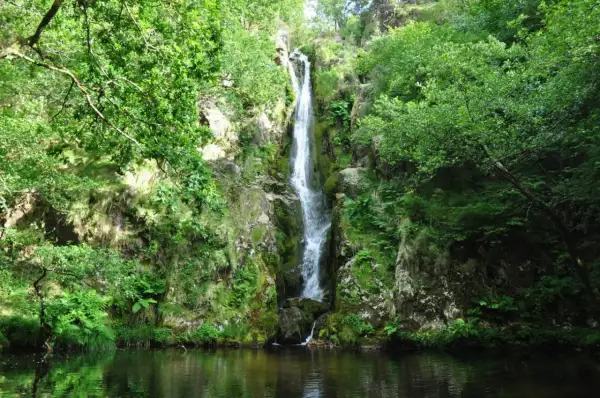 La cascada Viveiro desciende por rocas cubiertas de musgo y vegetación exuberante, desembocando en un estanque sereno.