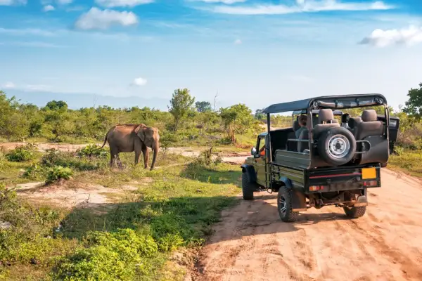 Safari en Tanzanie : un éléphant observe un véhicule tout-terrain. Idéal pour savoir quand partir en Tanzanie pour une expérience inoubliable.
