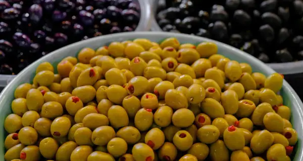 Czy pies może jeść oliwki? Sprawdź ryzyko i bezpieczne zasady