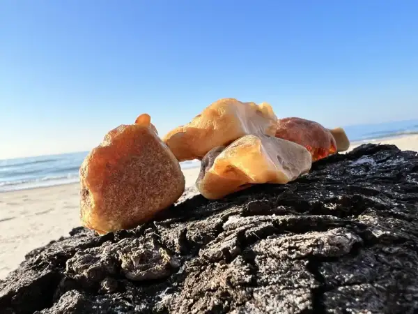 Kawałki bursztynu na ciemnym drewnie, na tle plaży i błękitnego nieba. Tak wygląda bursztyn na plaży, lśniący w słońcu.
