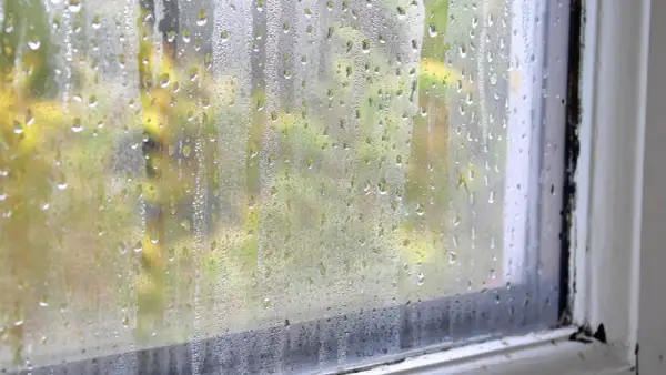 Dlaczego okna są mokre? Poznaj przyczyny i skutki kondensacji