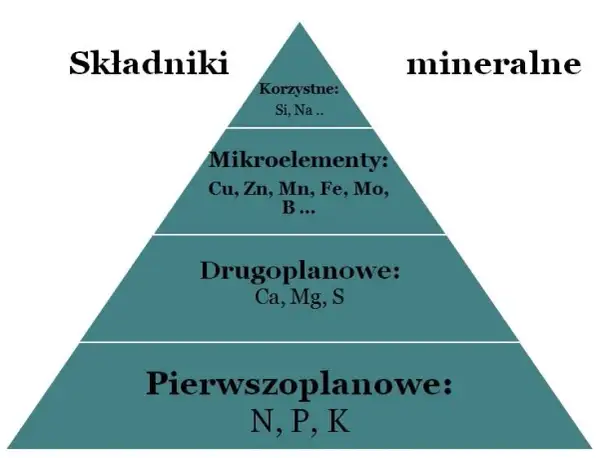 Minerały w których produkuje się nawozy fosforowe – kluczowe informacje i zagrożenia