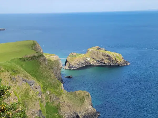 Falaises verdoyantes de la Causeway Coast, avec une île rocheuse reliée par un pont suspendu. L'eau bleue claire invite à la découverte.