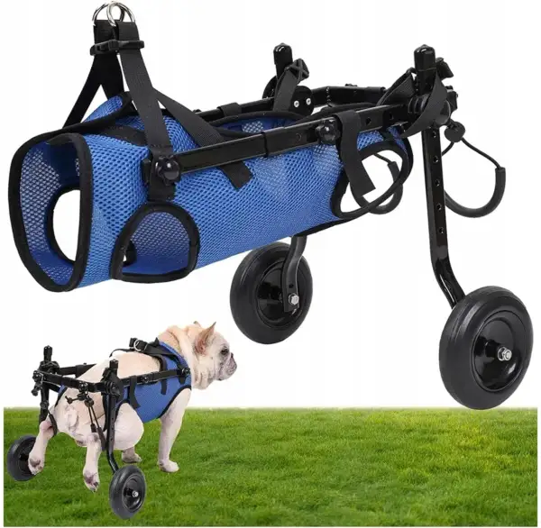 Najlepszy wózek dla psa Pet Gear: komfort i bezpieczeństwo w podróży