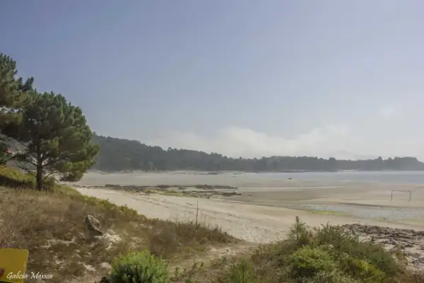 Amplia vista de la playa de Bornalle con arena dorada, vegetación y el mar al fondo bajo un cielo nublado.
