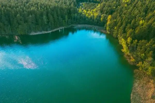 Głębokie, turkusowe jezioro otoczone gęstym lasem. Woda lśni w słońcu, tworząc odbicia chmur.
