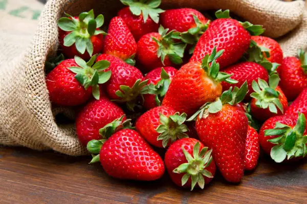 Un saco de arpillera desbordante de jugosas fresas rojas, anunciando la época de fresas.