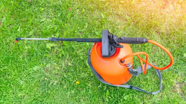 Pomarańczowy opryskiwacz ciśnieniowy na zielonej trawie, gotowy do użycia. Szukasz najlepszego preparatu na chwasty w trawie? Ranking pomoże Ci wybrać!