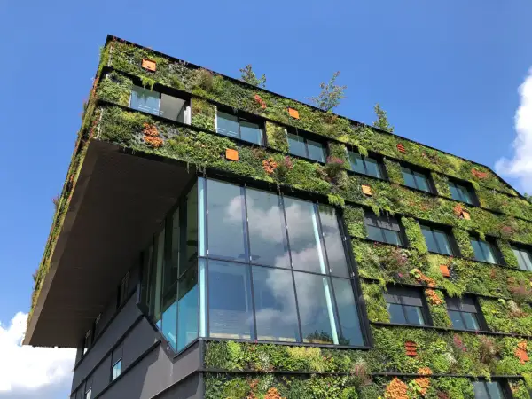 Edificio moderno ricoperto di vegetazione lussureggiante, un esempio di architettura con materiali ecosostenibili.