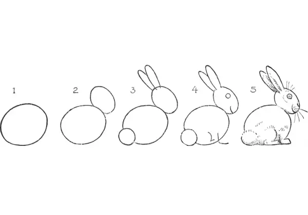 Secuencia de pasos para un conejo dibujo. Empieza con círculos y termina con un tierno conejo.