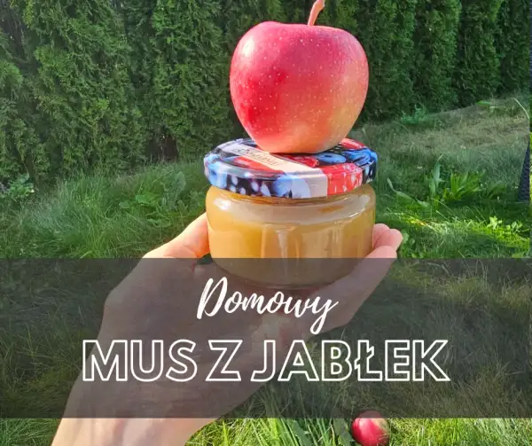 Domowy mus owocowy: Zrób idealny! Bez cukru, dla dzieci, na zimę