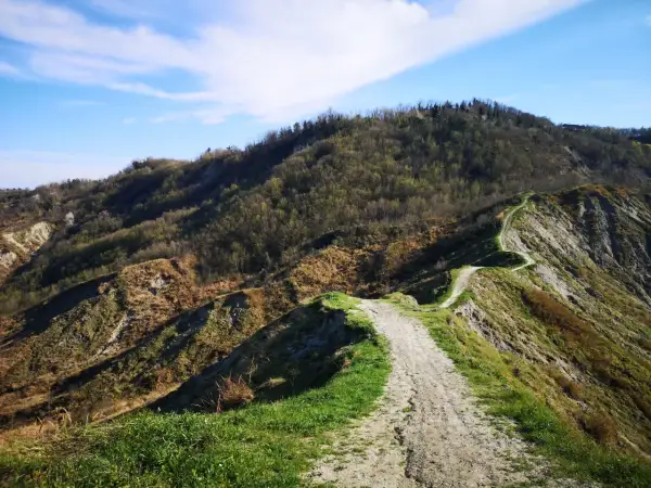 Sentiero tortuoso tra le colline forlivesi, un invito a scoprire panorami mozzafiato e la natura incontaminata.