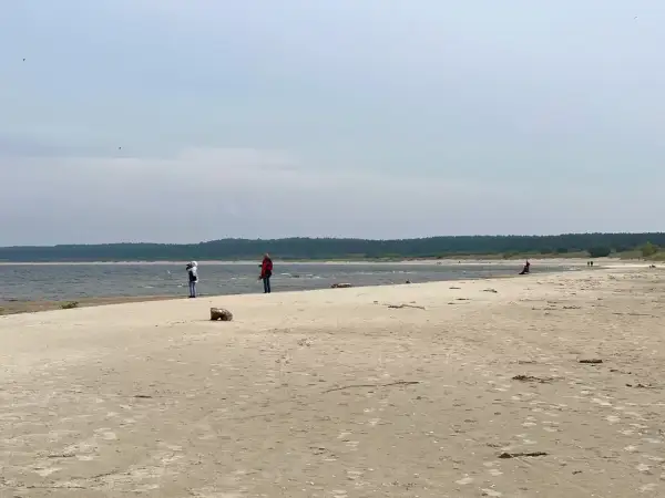 Plaża na Żuławach Wiślanych, gdzie można podziwiać piękno natury i poczuć spokój. Atrakcje przyrodnicze zachwycają.