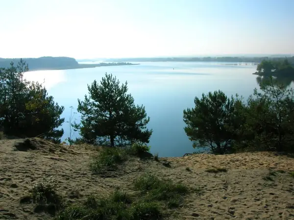 Spokojne jezioro Maziarnia otoczone drzewami, widok z piaszczystego brzegu.