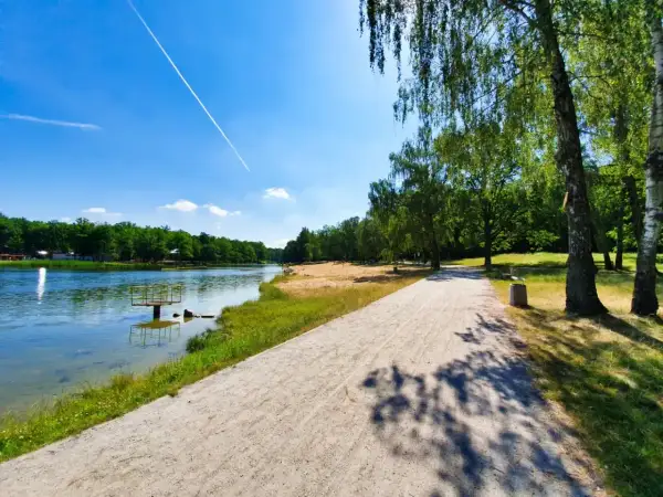 Piękna ścieżka rowerowa w Łodzi nad jeziorem, idealna na letnie przejażdżki.