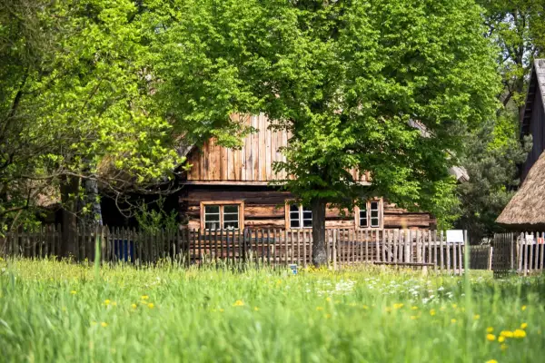 Najlepsze atrakcje w Ochli, które musisz zobaczyć podczas wizyty