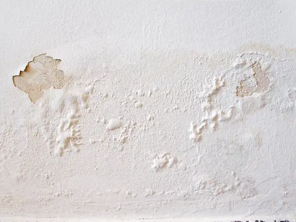 Abblätternde Farbe und Blasenbildung an einer weißen Wand zeigen deutlich, dass man eine feuchte Wand erkennen kann.
