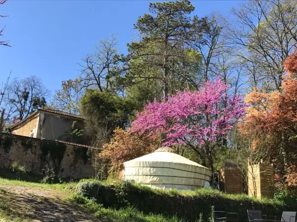 Une yourte d'hôtes en Dordogne, nichée au milieu d'arbres en fleurs et d'une végétation luxuriante, avec une maison en pierre en arrière-plan.