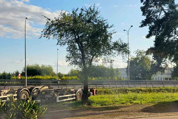Puste naczepy stoją przy drodze. W tle drzewo, o ile można skrócić drzewo bez zezwolenia, i budynek.