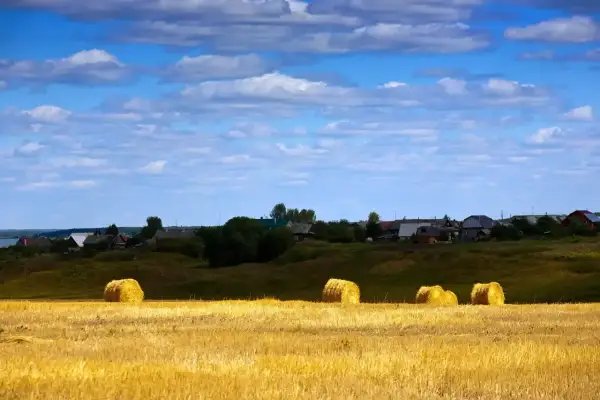 Agroturystyka czy to dobry biznes? Odkryj ukryte zyski i wyzwania