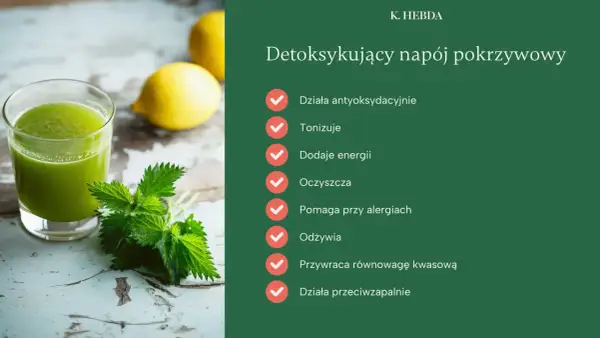 Szklanka zielonego soku z pokrzywy obok świeżych liści i cytryn. Napój detoksykujący z pokrzywy wspiera organizm.