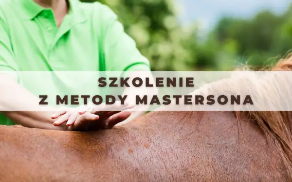 Szkolenie z metody Mastersona – delikatne dotyki dla zdrowia konia.