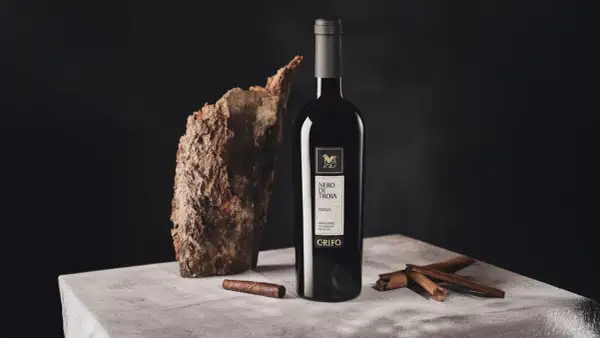 Bottiglia di vino nero di troia, con corteccia, sigaro e cannella su un tavolo di cemento.