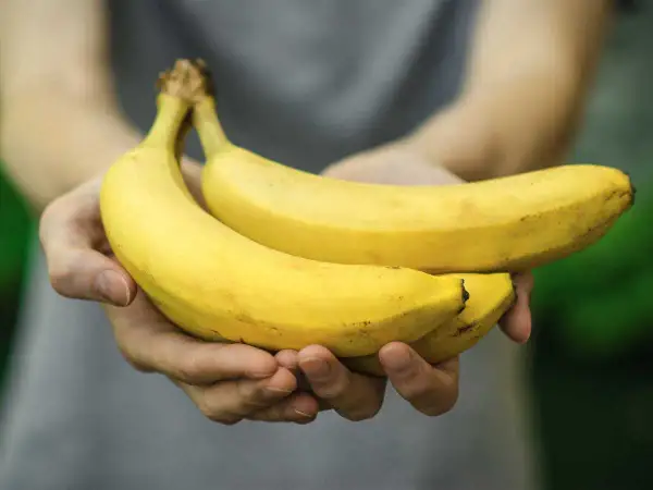 Mani che offrono due banane mature. Forse il detto "2 banane al giorno fanno male" è solo un mito?