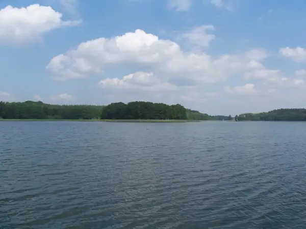 Spokojne jezioro z zielonymi lasami na horyzoncie i białymi chmurami na niebieskim niebie.