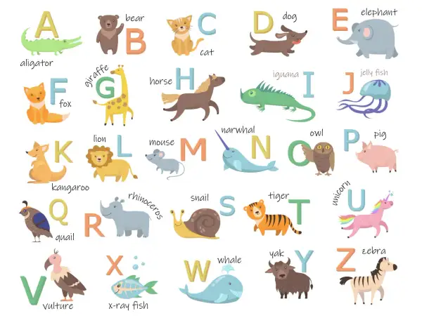 Alfabeto ilustrado con animales en inglés para niños: alligator, bear, cat, dog, elephant, fox, giraffe, horse, iguana, jelly fish, kangaroo, lion, mouse, narwhal, owl, pig, quail, rhinoceros, snail, tiger, unicorn, vulture, x-ray fish, whale, yak, zebra.